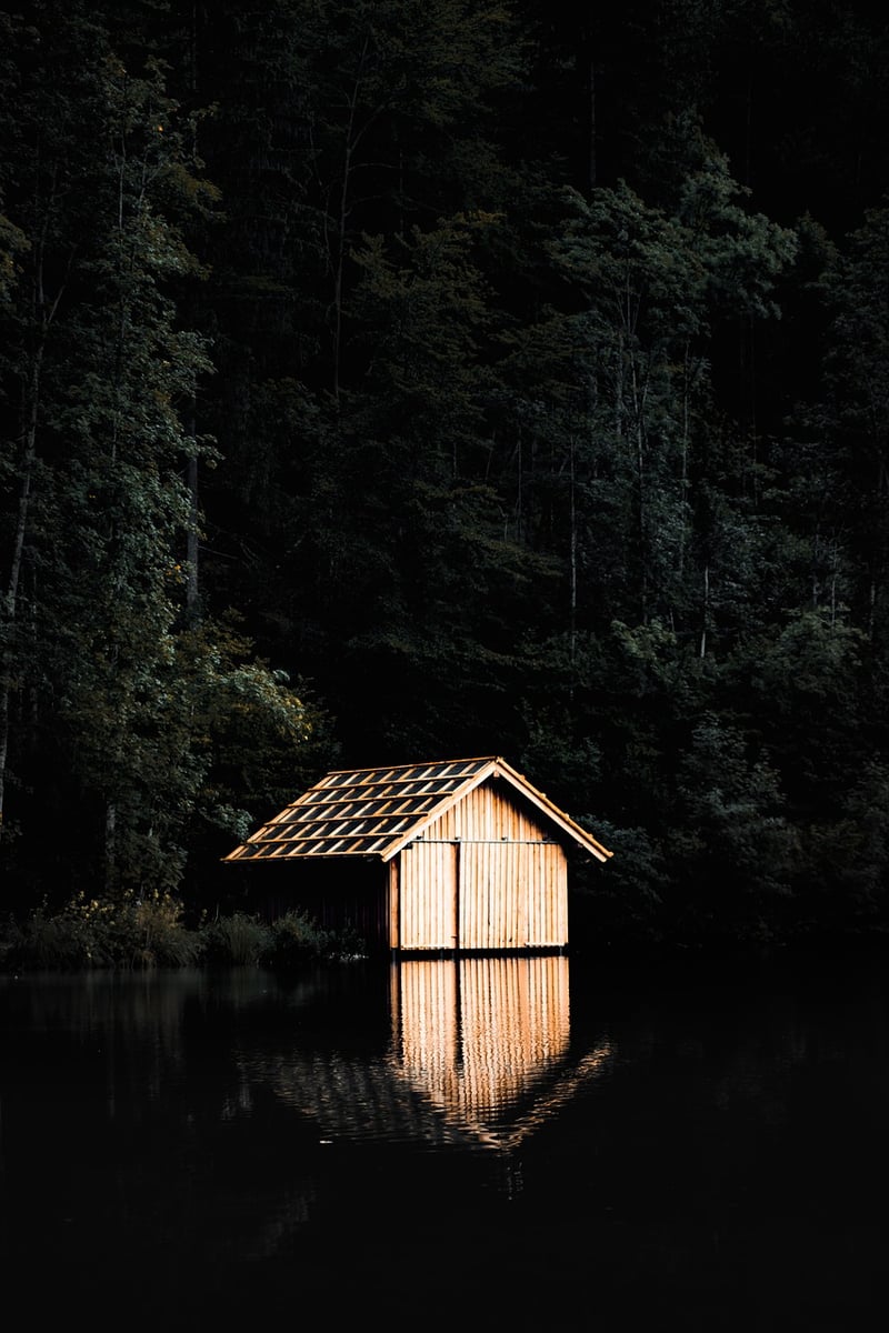 Treehouse Lodge in the Forest